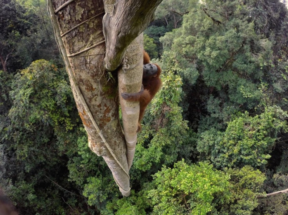 15 buc anh dep nhat nam 2016 do national geographic binh chon