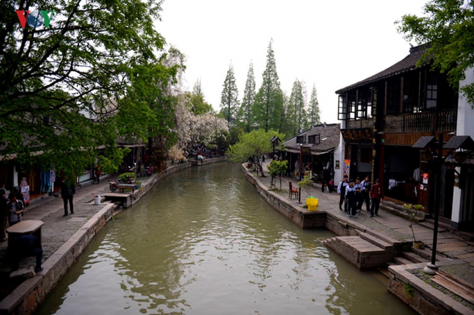 co tran chu gia giac venice tho mong ngoai o thuong hai