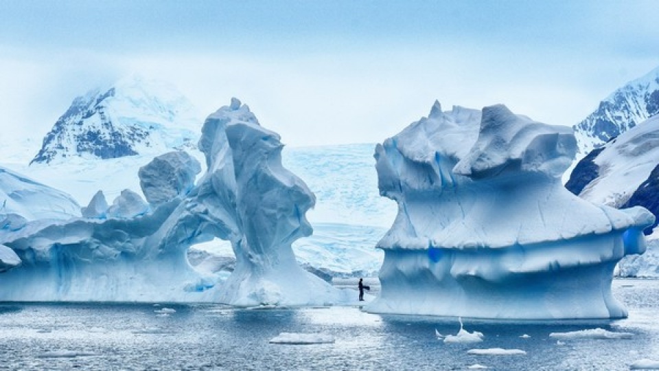 nhung hinh anh chuyen la an tuong nhat nam 2016