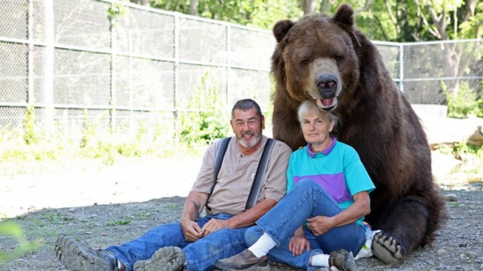 nhung hinh anh chuyen la an tuong nhat nam 2016