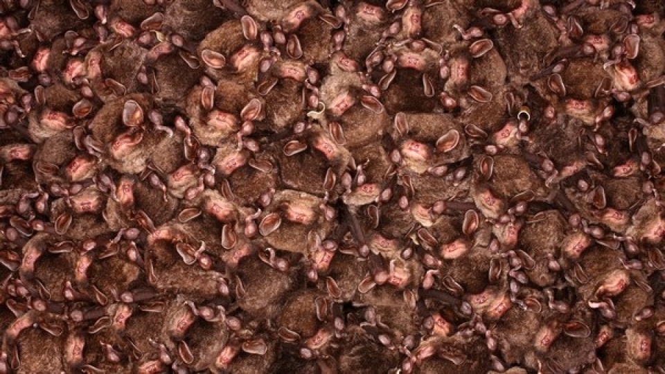 nhung hinh anh chuyen la an tuong nhat nam 2016