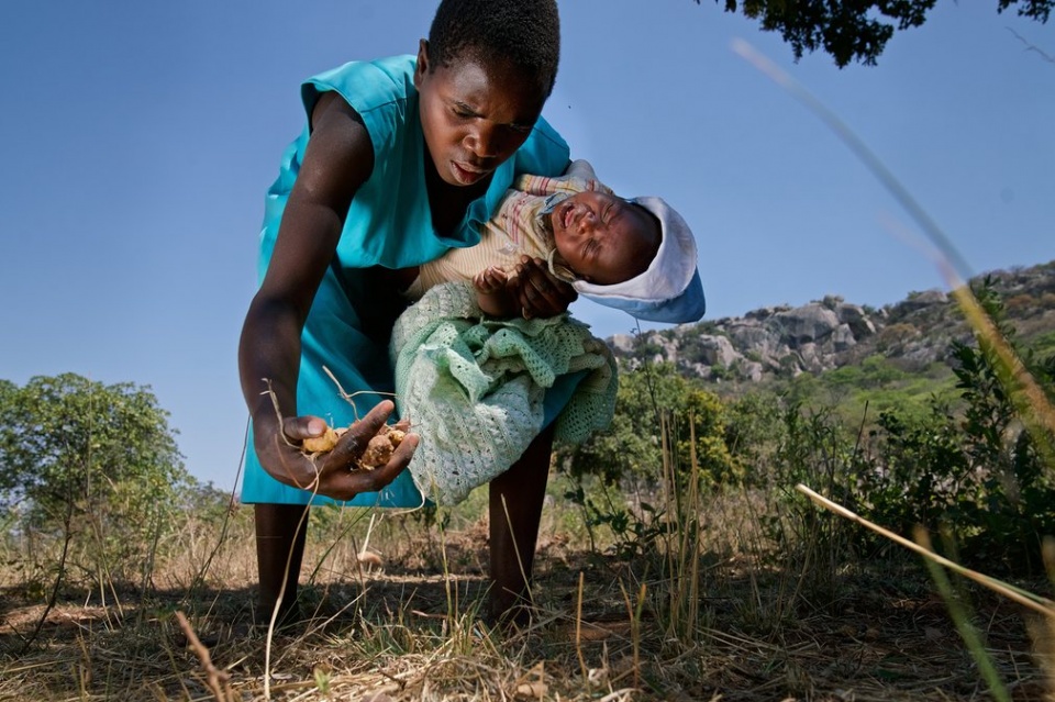 nhung dua tre vung zimbabwe