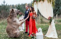 video gau vay tay chao dap tu khach tham quan tai vuon thu o nga hut nguoi xem