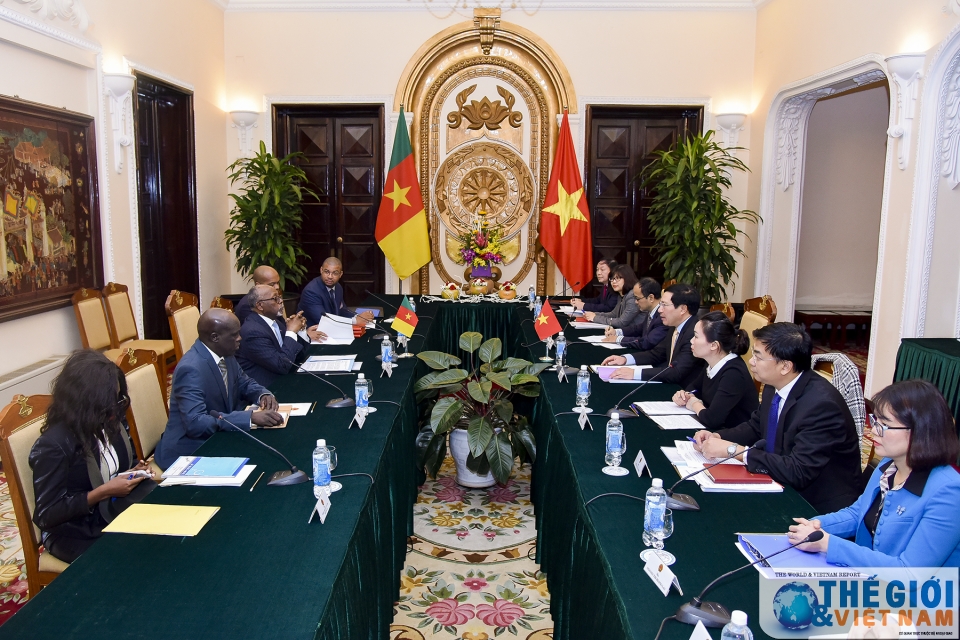 tang cuong quan he viet nam cameroon