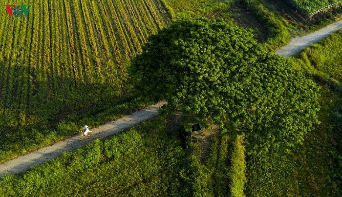 ngam nhung diem check in tuyet dep cua phim mat biec tai hue