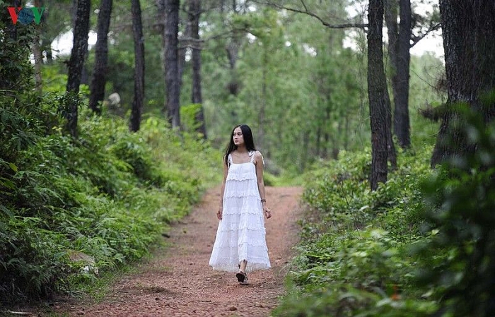 ngam nhung diem check in tuyet dep cua phim mat biec tai hue