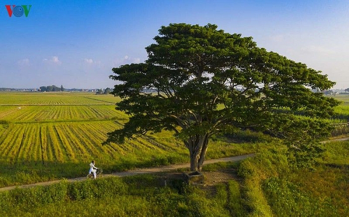 ngam nhung diem check in tuyet dep cua phim mat biec tai hue
