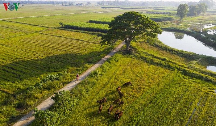 ngam nhung diem check in tuyet dep cua phim mat biec tai hue