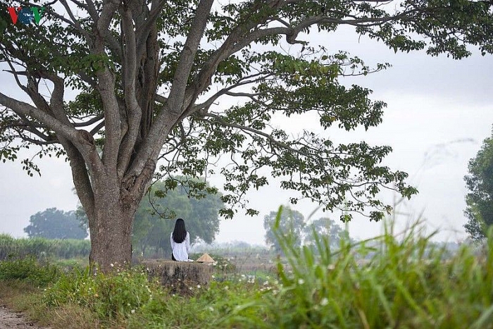 ngam nhung diem check in tuyet dep cua phim mat biec tai hue