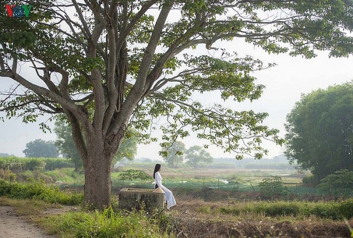 ngam nhung diem check in tuyet dep cua phim mat biec tai hue