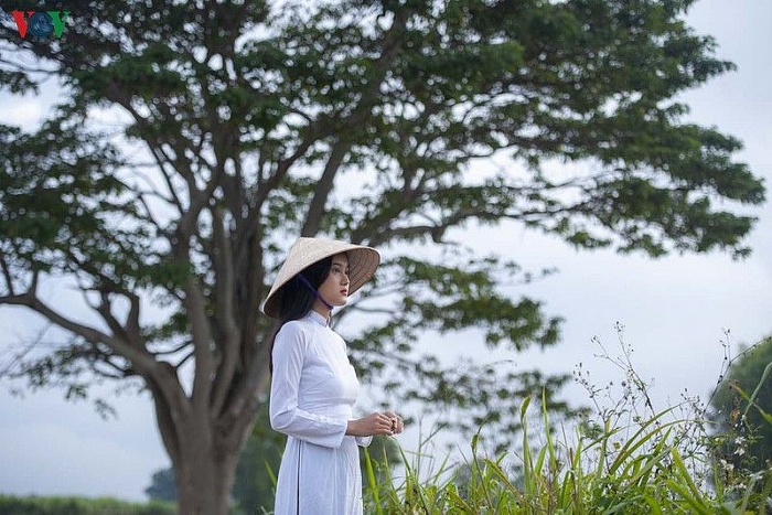 ngam nhung diem check in tuyet dep cua phim mat biec tai hue