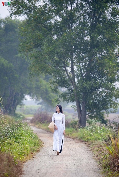 ngam nhung diem check in tuyet dep cua phim mat biec tai hue