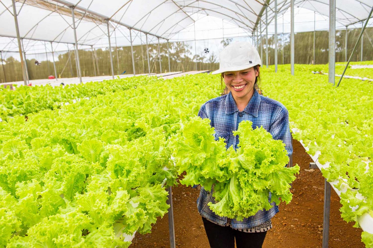 Khám phá Măng Đen