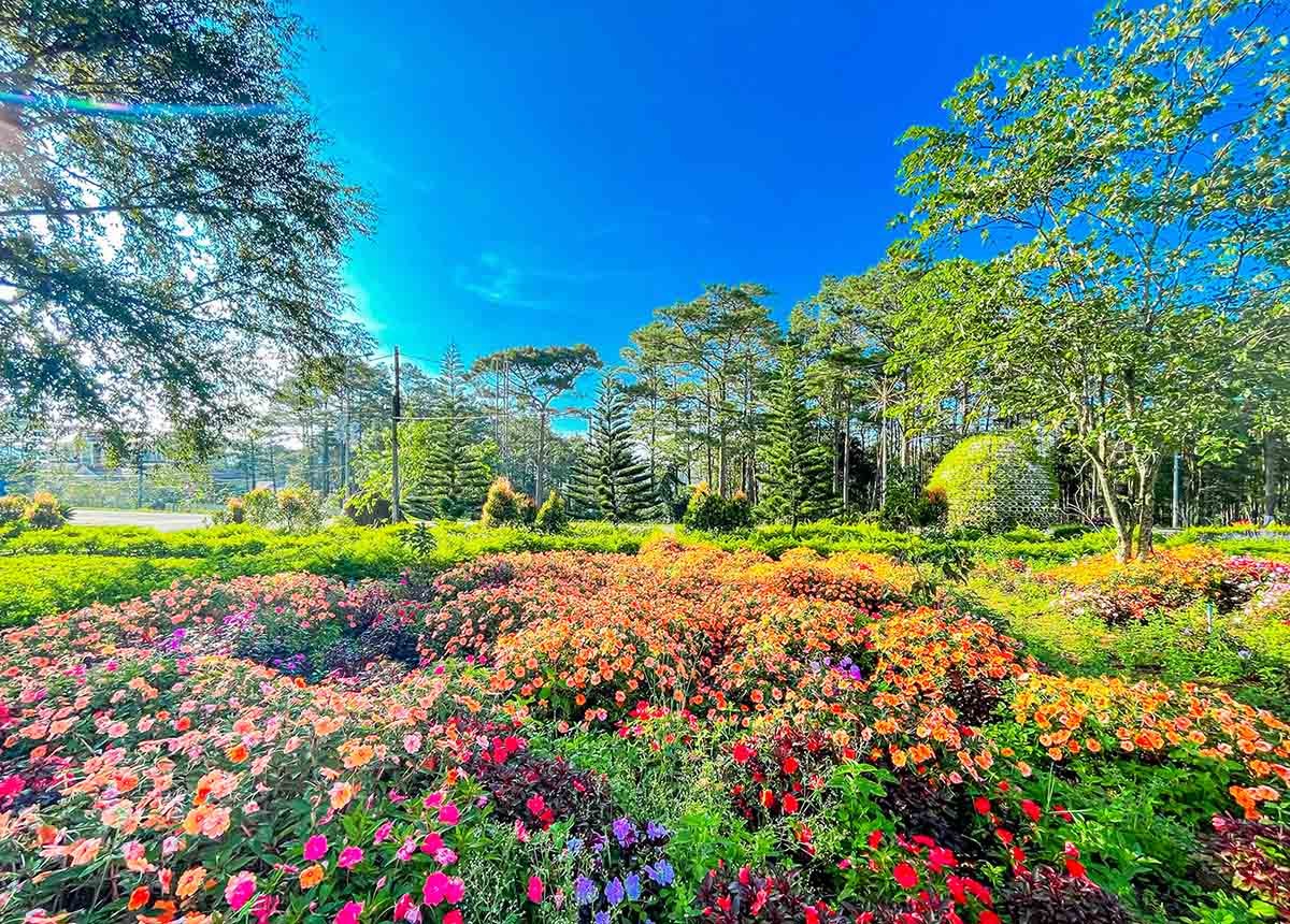 Khám phá Măng Đen