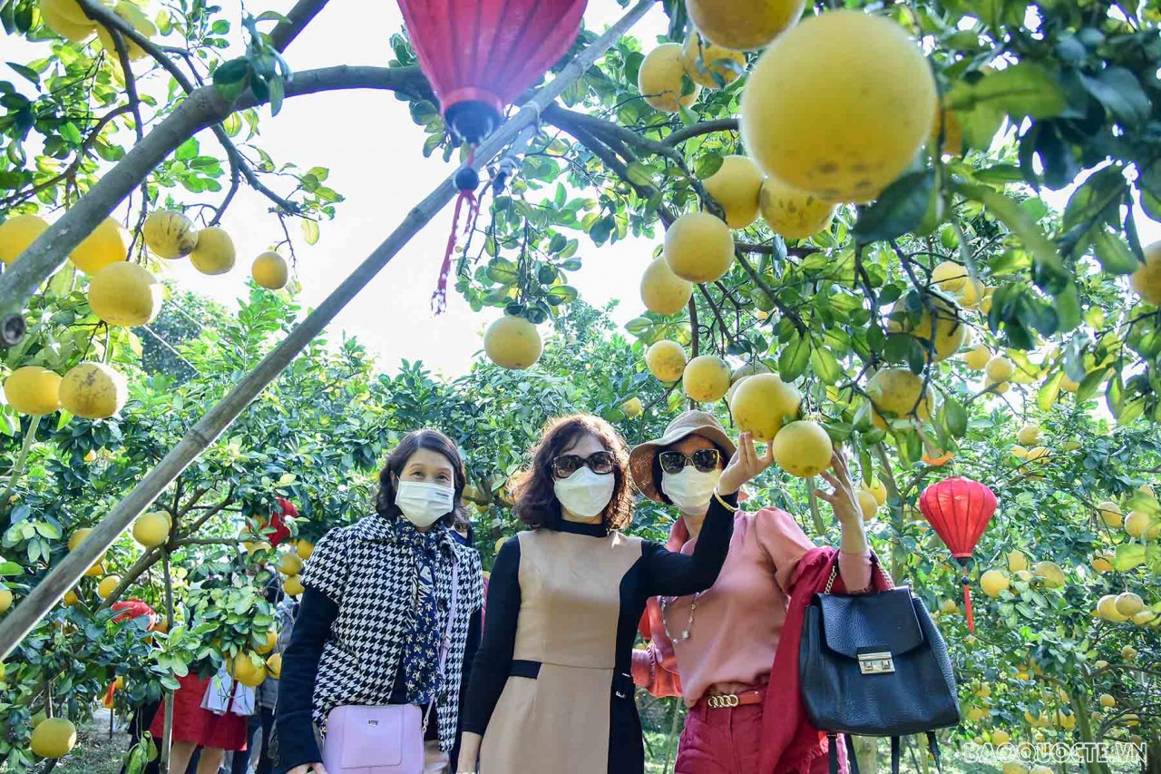 Nhóm AWCH thăm và tìm hiểu về sản vật địa phương tại tỉnh Bắc Giang