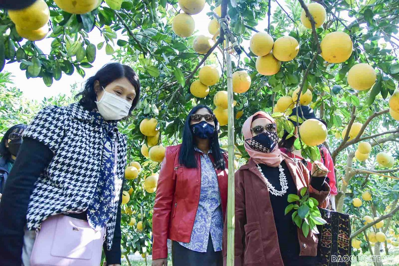 Nhóm AWCH thăm và tìm hiểu về sản vật địa phương tại tỉnh Bắc Giang