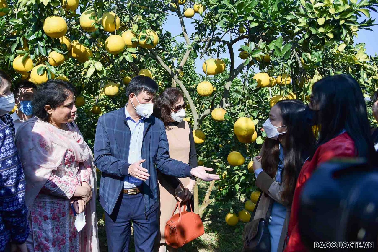 Nhóm AWCH thăm và tìm hiểu về sản vật địa phương tại tỉnh Bắc Giang