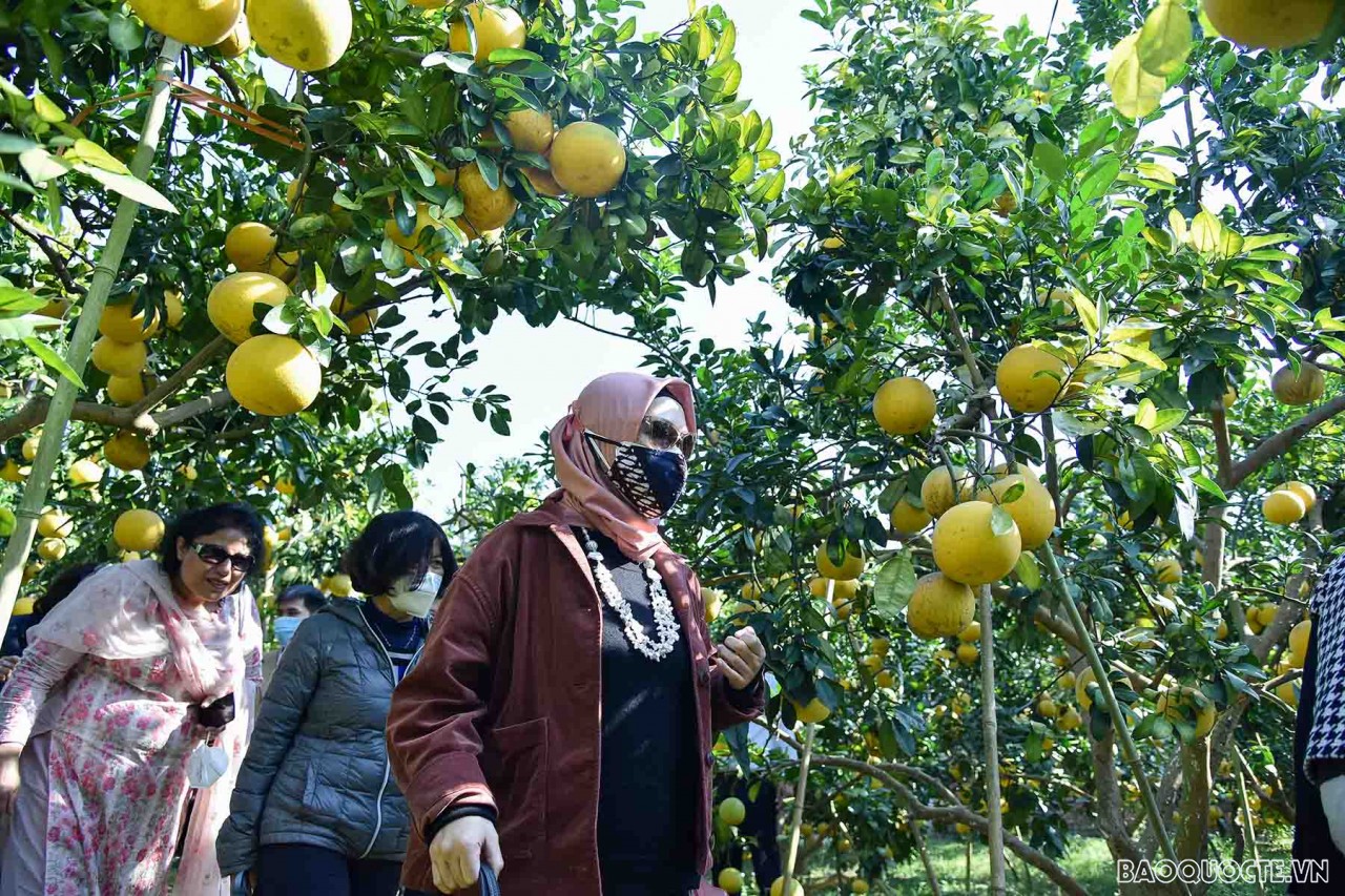 Nhóm AWCH thăm và tìm hiểu về sản vật địa phương tại tỉnh Bắc Giang