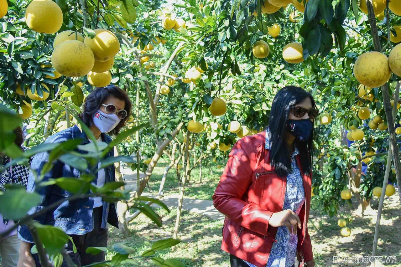 Nhóm AWCH thăm và tìm hiểu về sản vật địa phương tại tỉnh Bắc Giang