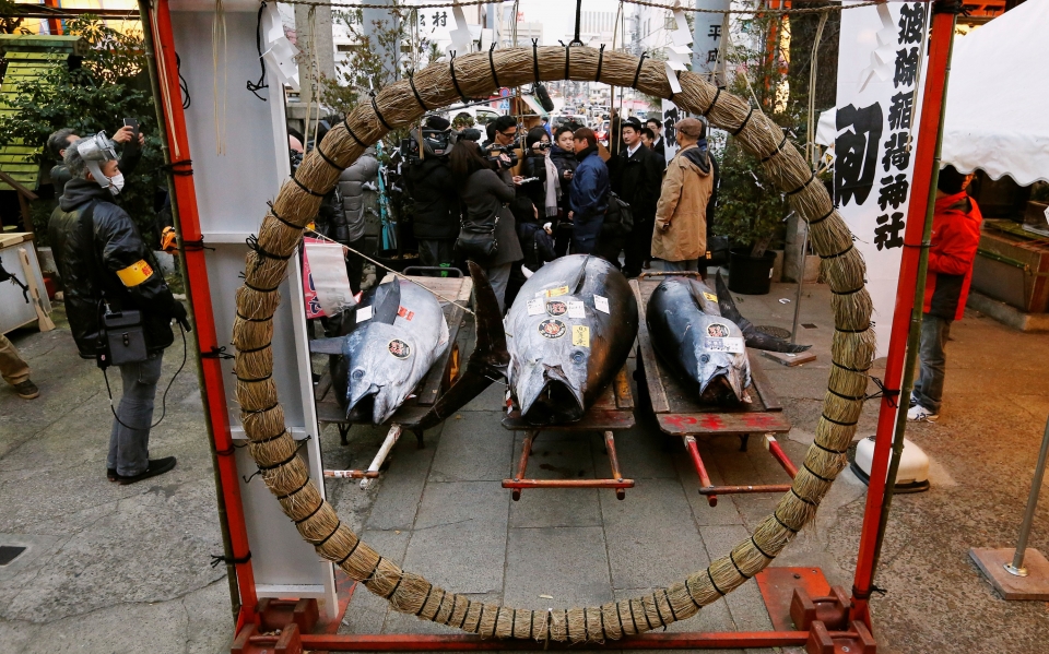 soi dong cho ca lon nhat the gioi o nhat ban