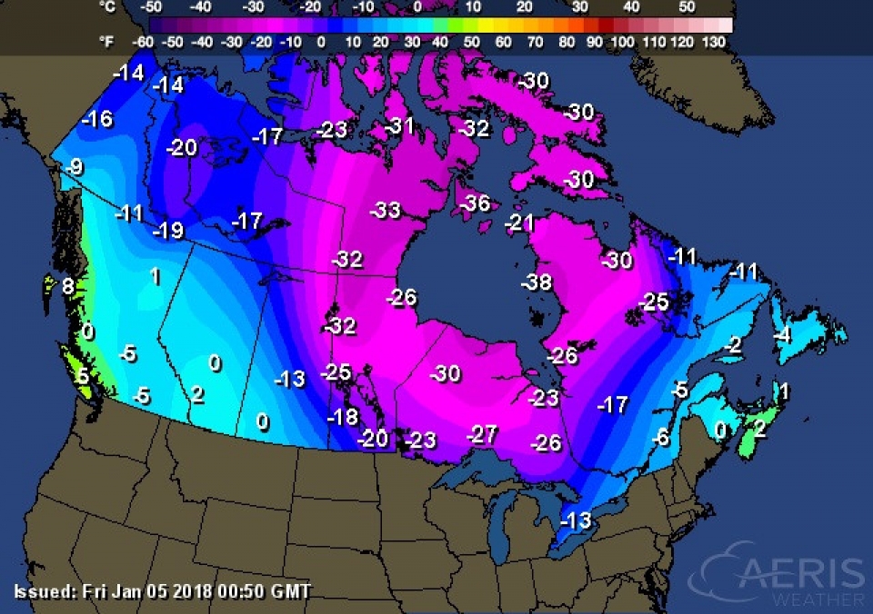 Giải cứu chú nai mắc kẹt trong lớp tuyết dày 2m ở Canada giai cuu nai mac ket trong lop tuyet day 2 m o canada