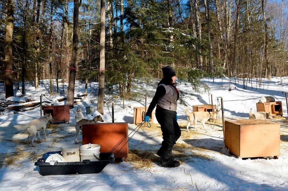 huan luyen cho keo xe truot tuyet trong gia ret o my