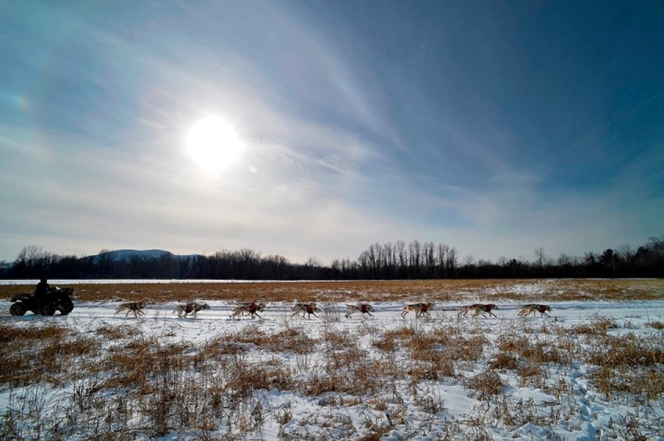 huan luyen cho keo xe truot tuyet trong gia ret o my