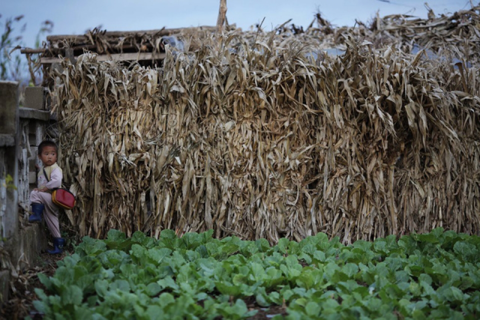 goc anh hiem ve cuoc song cua tre em trieu tien