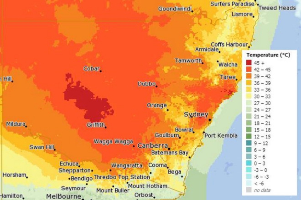 hang nghin con doi chet vi nang nong o australia