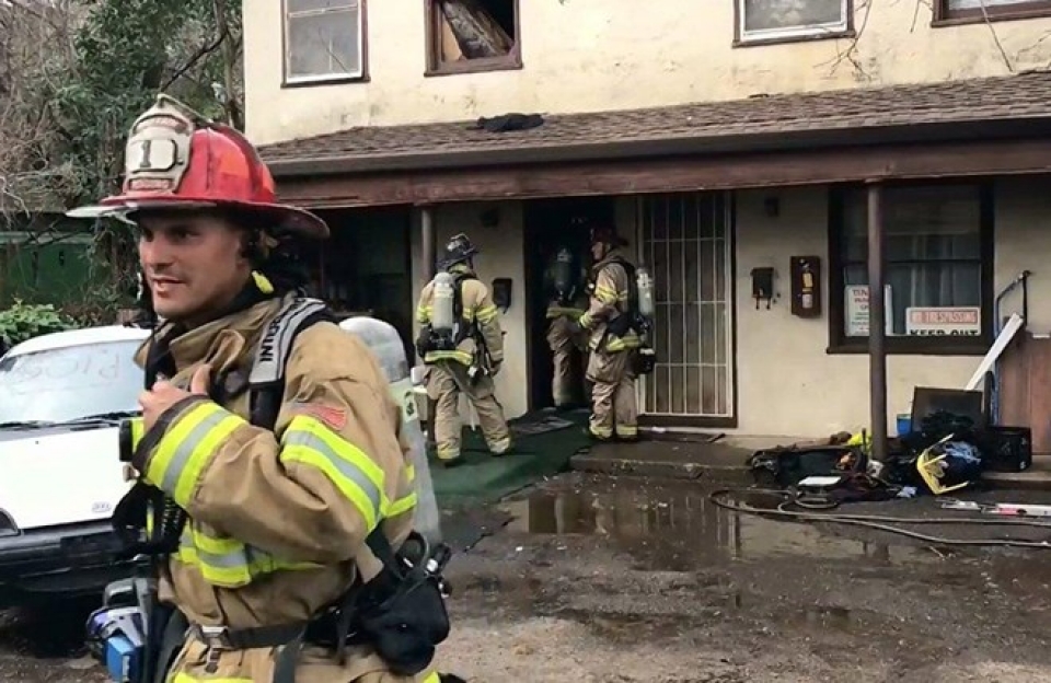 "Chi" 11.000 USD để giết... một con nhện nguoi dan ong dot chay can ho cua minh de giet mot con nhen