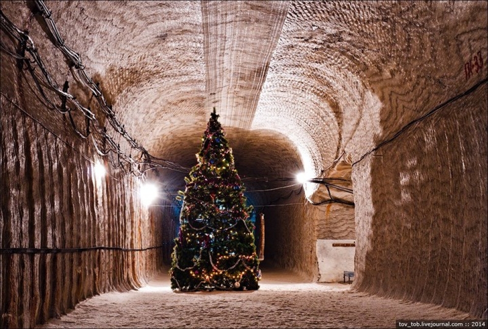 mo muoi 250 trieu nam duoi day bien dep lung linh