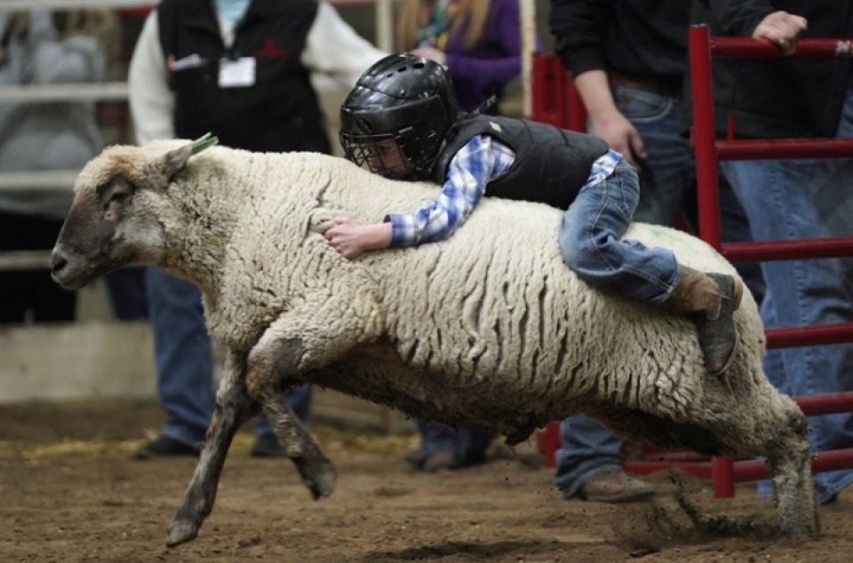 anh hai huoc ve ky si nhi tham gia cuoc thi thuan phuc cuu