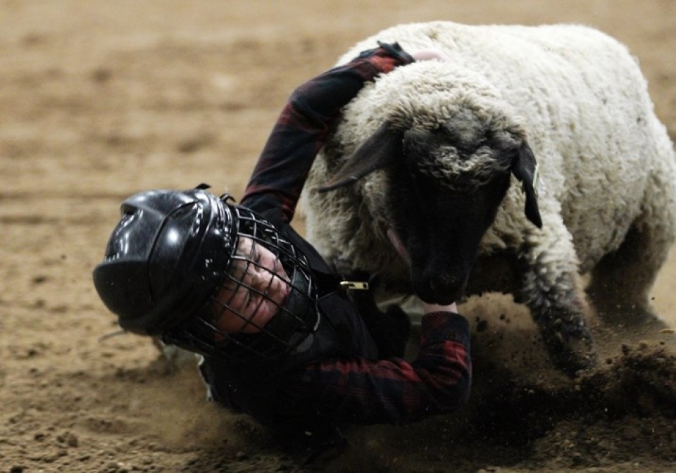 anh hai huoc ve ky si nhi tham gia cuoc thi thuan phuc cuu