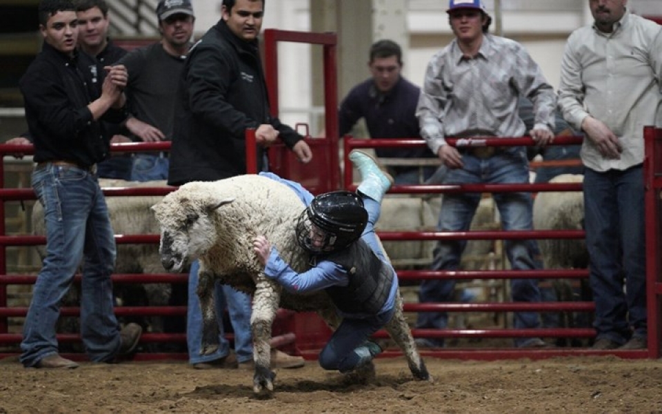 anh hai huoc ve ky si nhi tham gia cuoc thi thuan phuc cuu