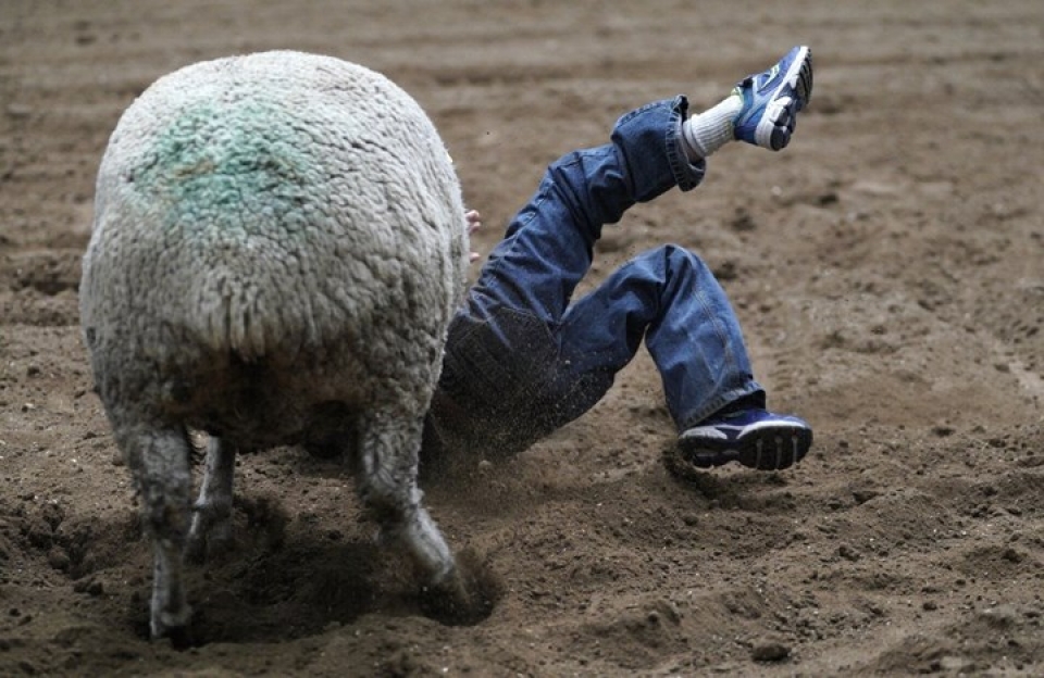 anh hai huoc ve ky si nhi tham gia cuoc thi thuan phuc cuu