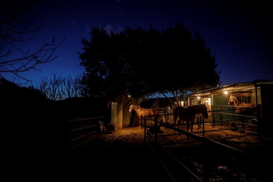 hinh anh tuan ma lao vao lua tay tran trong le thanh anthony