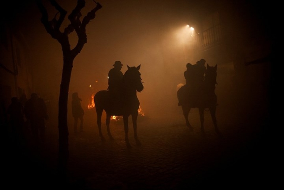 hinh anh tuan ma lao vao lua tay tran trong le thanh anthony