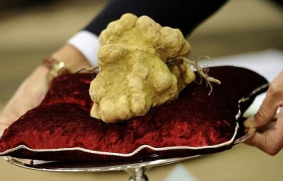 Những thực phẩm “sang chảnh” nhất thế giới
