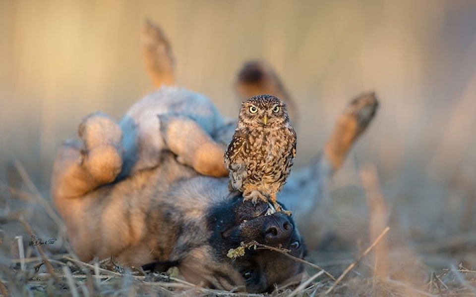 chu cho danh ca thanh xuan de chup anh voi nhung nguoi ban cu