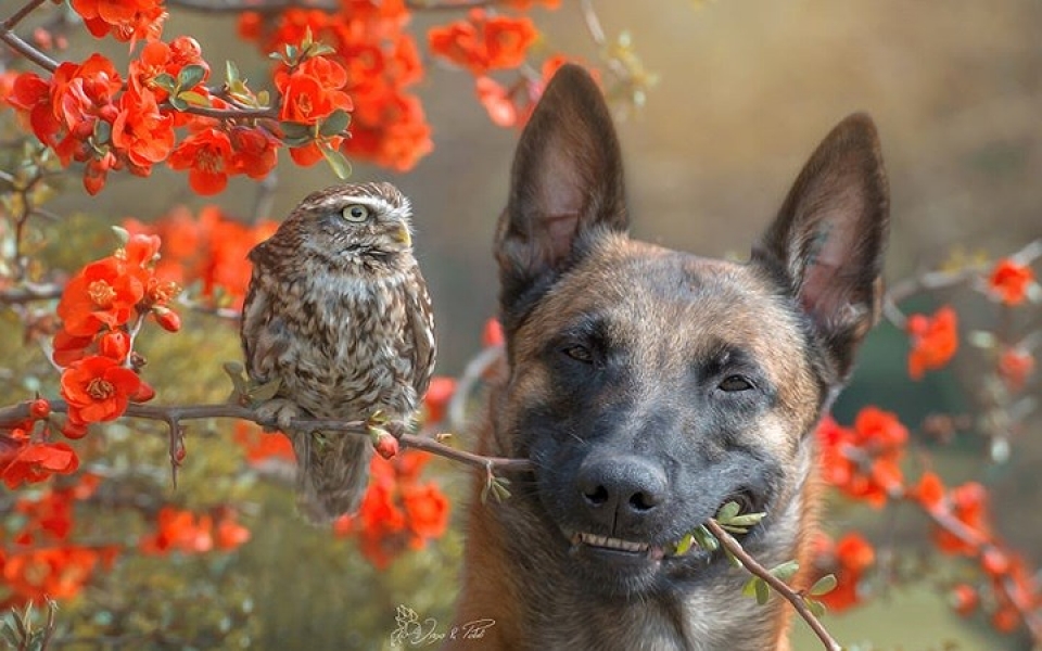 chu cho danh ca thanh xuan de chup anh voi nhung nguoi ban cu