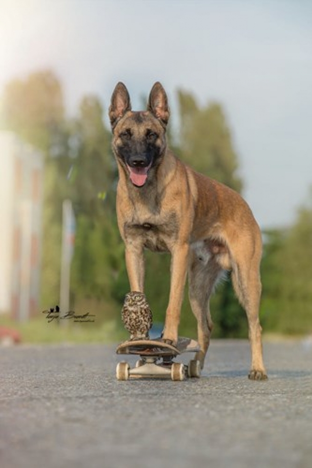 chu cho danh ca thanh xuan de chup anh voi nhung nguoi ban cu