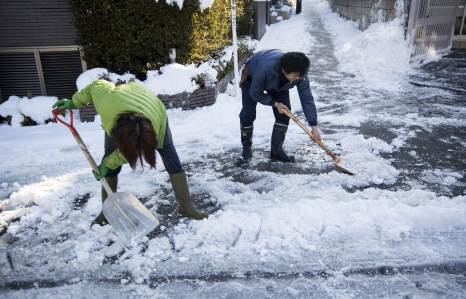 Nhật Bản: Giao thông Tokyo đình trệ vì bão tuyết