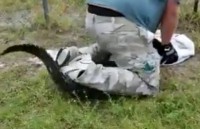 Người đàn ông liều lĩnh ngồi lên đầu con cá sấu đi lạc