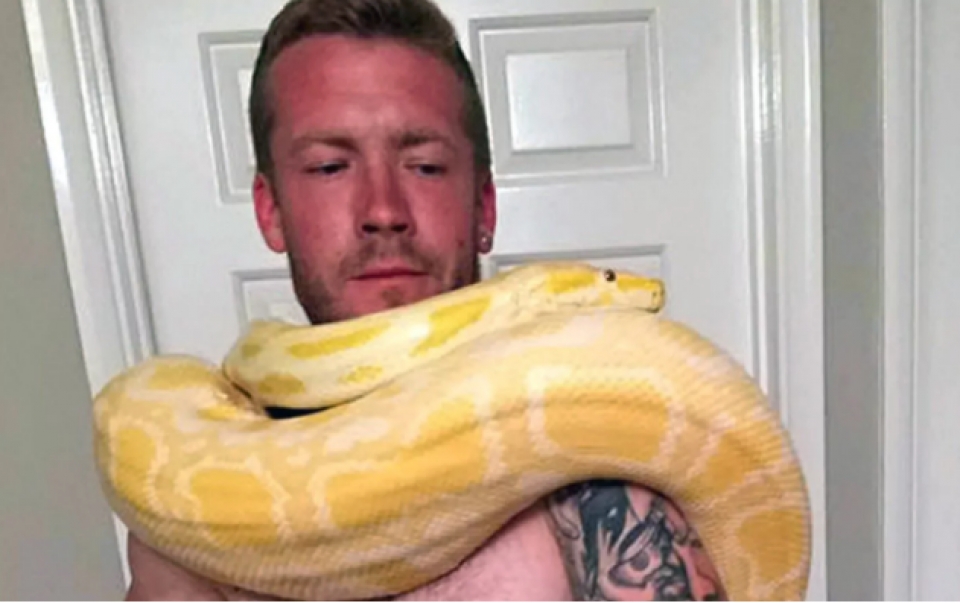 Người đàn ông thiệt mạng vì bị trăn cưng siết chặt trong lúc ngủ nguoi dan ong thiet mang vi bi tran cung siet chat trong luc ngu