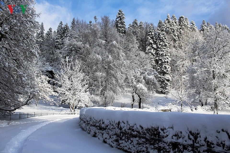 mua dong romania ve dep huyen bi mien co tich