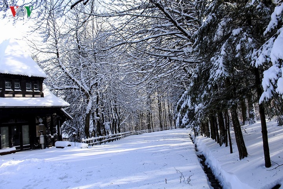 mua dong romania ve dep huyen bi mien co tich