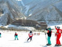 Olympic PyeongChang 2018: Hàn Quốc sẽ tập huấn trượt tuyết với Triều Tiên