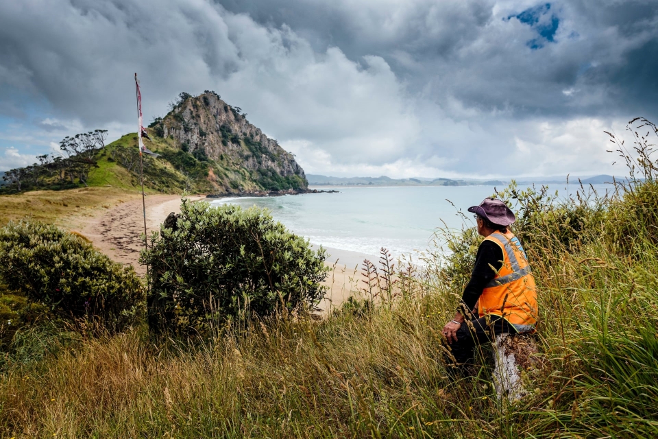 bo toc ban dia new zealand va noi buon mua ca voi mac can