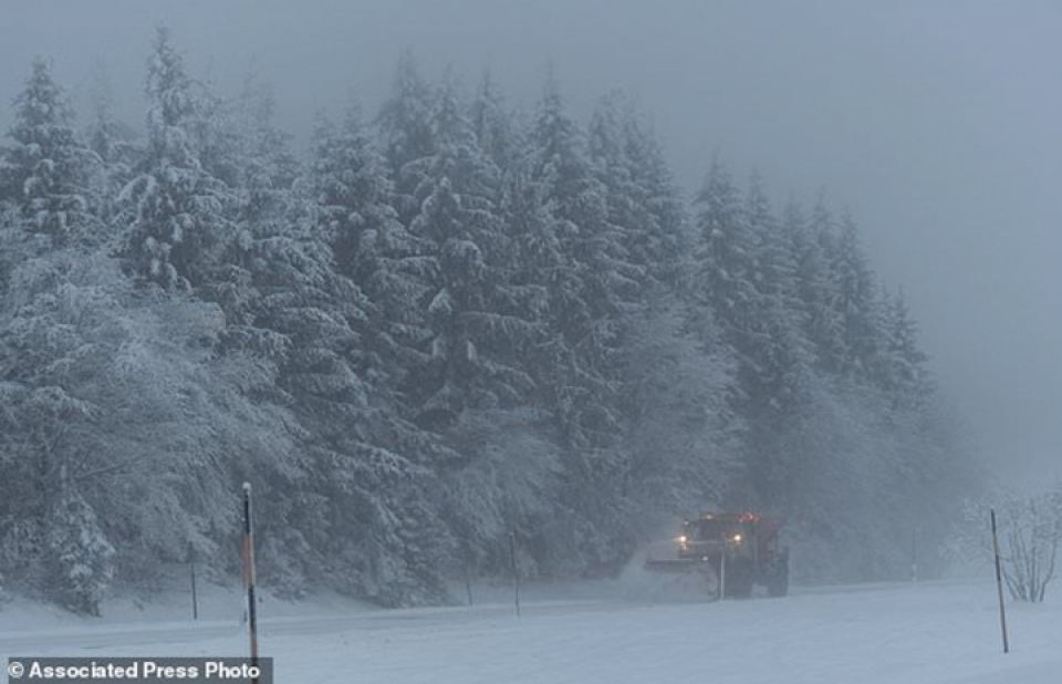 chau au te liet vi tuyet roi day