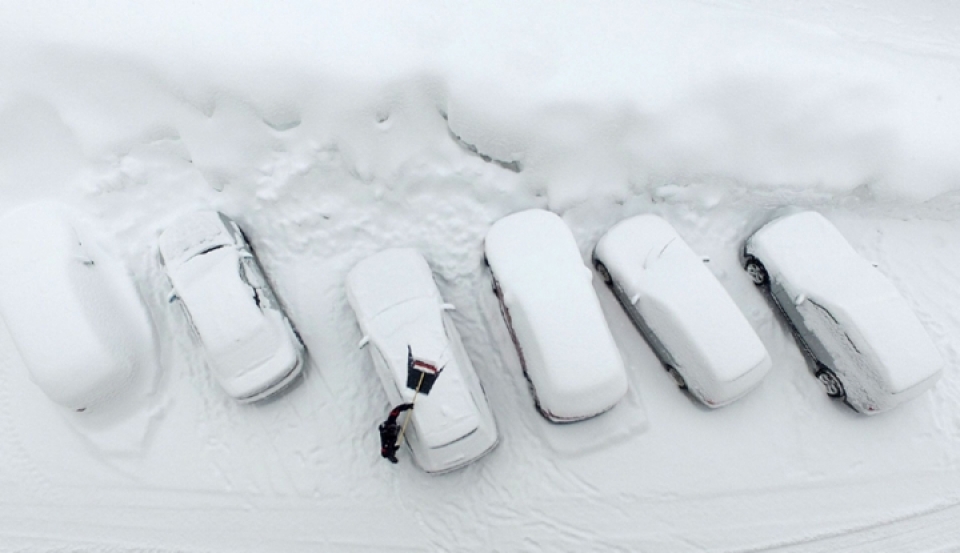 chau au te liet vi tuyet roi day